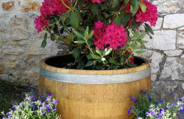 Holiday House Sweet Home - Foto 15