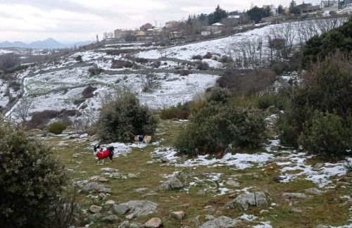 Casa Rural Dunas - Foto 18