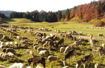 Casa Camilla Holiday - Foto 126