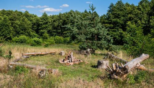 Powidzka Ostoja - Foto 5, Garden