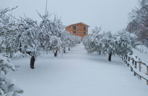 Santa Giusta - Foto 13