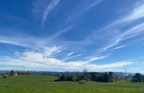 Schöne Wohnung in der Altstadt - Foto 49