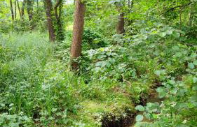 Biały Domek Nielbark - Agroturystyka - Foto 45