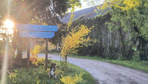 Stajnia Okliny - Foto 2