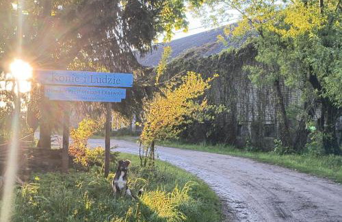 Stajnia Okliny - Foto 2