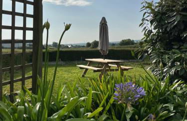 entre Paimpol et Tréguier - Photo 13