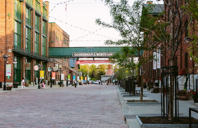 Spacious Apartment in Forest Hill (Free Parking) - Photo 22