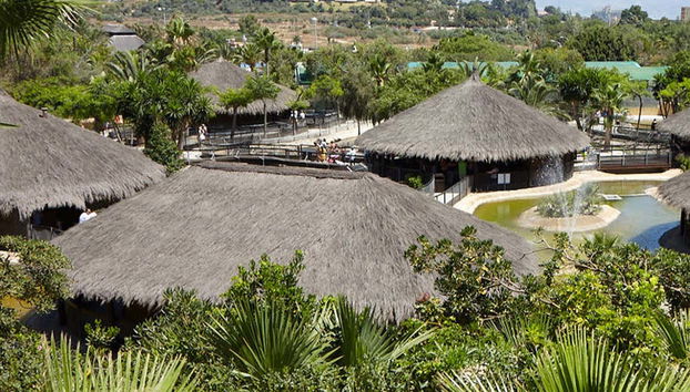 Crocodile Park - Foto 2