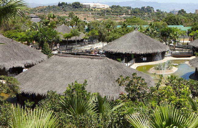 Billet pour le Crocodile Park - Photo 2