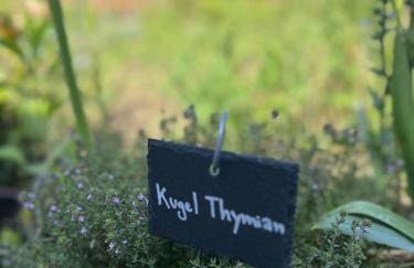 Luxus Studio 10 Min zur Porta Nigra inkl Parkplatz - Foto 56