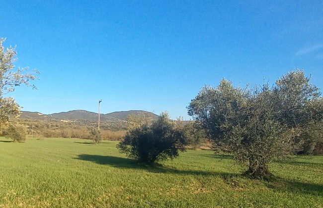 Beautiful 1-bed Cottage in Megalopolis - Foto 9