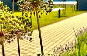 Słoneczna Przystań - Foto 42