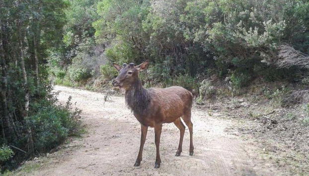 Tour in Castiadas - Foto 4