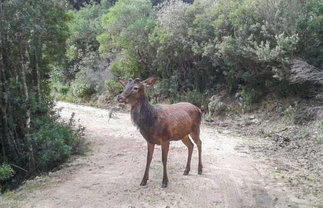 Tour in Castiadas - Foto 4