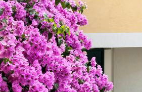 Borgo dei Sogni - Deluxe Apartment - Lago di Garda - Foto 59