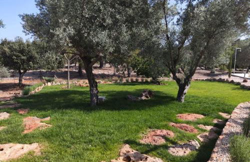 Finca Barons - Foto 11