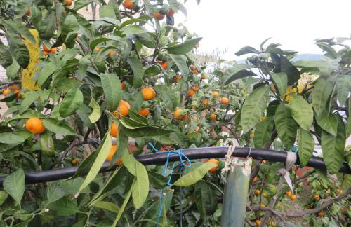 I&J Relaxing Beach Apartments - Foto 62