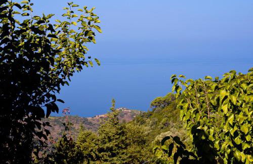 Endless green 1 Arethousa Ikaria - Photo 20