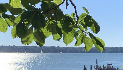 Ferienwohnung Breitenberger - Foto 2