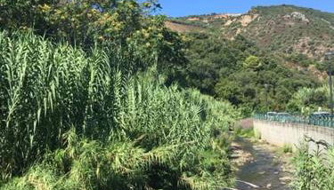 Domu Asquer 9 - Foto 3