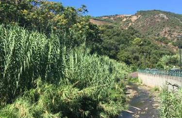 Domu Asquer 9 - Foto 3