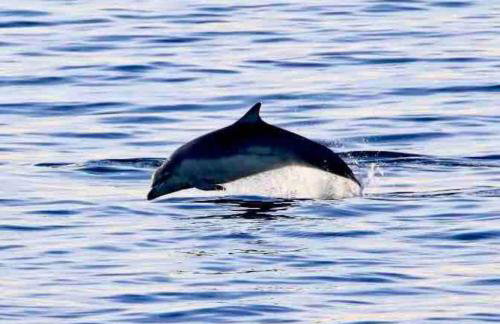 No3 By The Sea a 5 Star Cozy Coastal Cottage - Foto 32