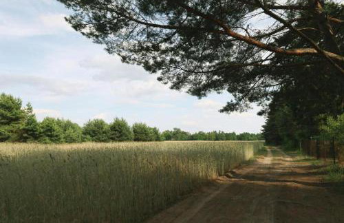 Oaza Święty Spokój - Tiny House z Balią i Jacuzzi przy rzece Narew - Foto 32