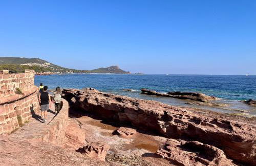 La Cigalière - Foto 37