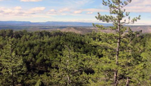 CASA RURAL ADUANA - Foto 3