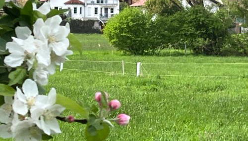 Ferienwohnung Lipps - Foto 3