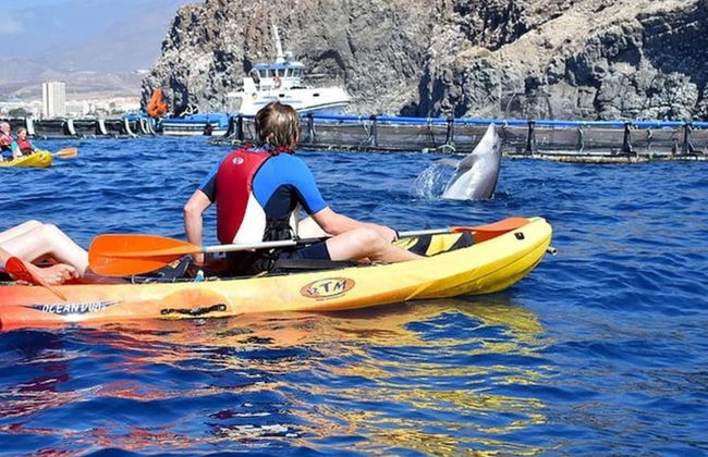 Bonito Apartamento Radazul Sea - Photo 21