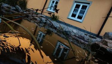 Ferienwohnung AlpakasvomWeissenstein - Foto 4