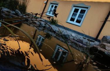 Ferienwohnung AlpakasvomWeissenstein - Foto 4