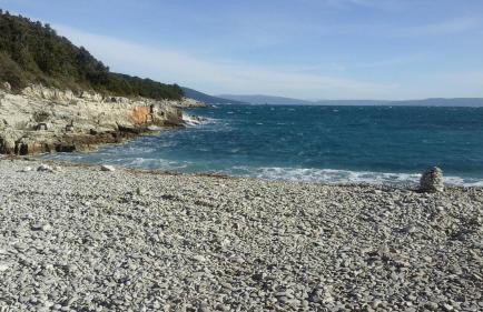 Villa Posidonia near Pula with sea view and surrounded by olive trees - Foto 11