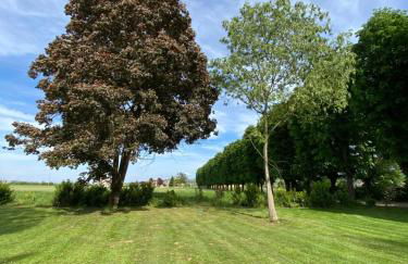 Tenuta Pizzone Wine Resort - Foto 19