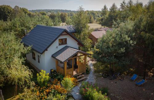 Niezapominajka - Foto 1