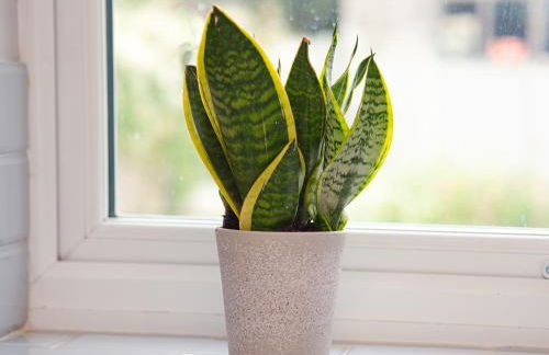 Cosy 3 bed with Parking- Family and Contractors - Foto 31