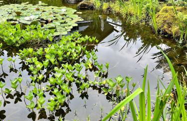 Ferienwohnung Stengel - Foto 18