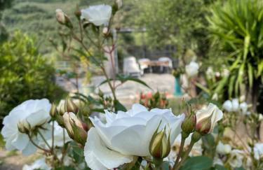 Casa Belvedere - Foto 60