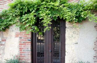 Mas del Molí - Foto 11