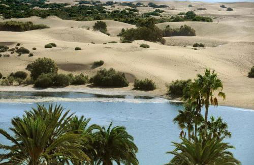 The Ravine House II - Foto 34