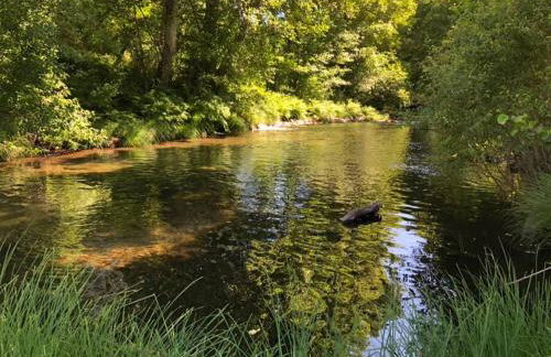 Casa de Xisto Ti Lucília - Foto 18