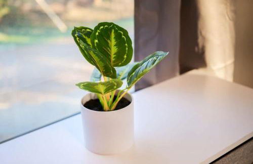 Natures Retreat Renovated with Quiet Pond Views - Foto 47