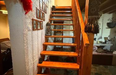 House with lake and water lilies - Foto 22