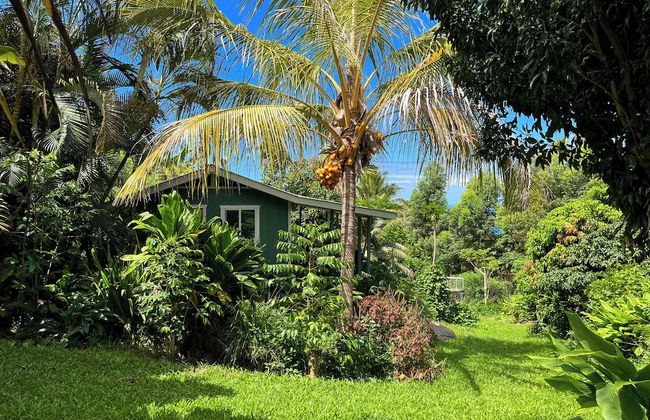 Gingerhill Farm Retreat - Foto 58