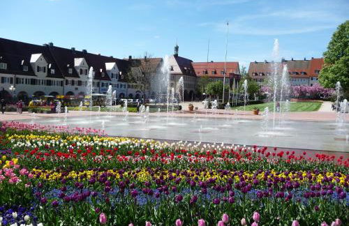 Schwarzwald-Ferienwohnungen Begert - Foto 22
