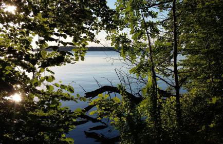 Ferienwohnung am Schweriner See - Foto 24