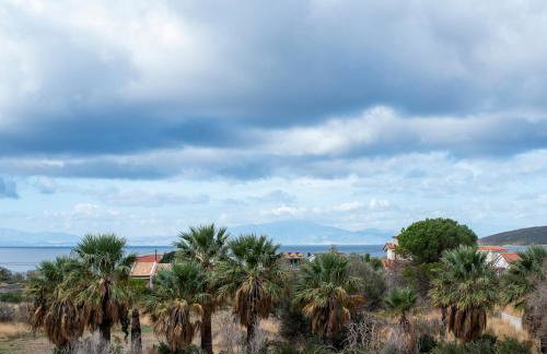 Palm Tree Beach Villa - Photo 5