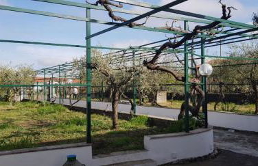 Casa dei Gigli relax and vacation among flowers and fruits - Foto 8