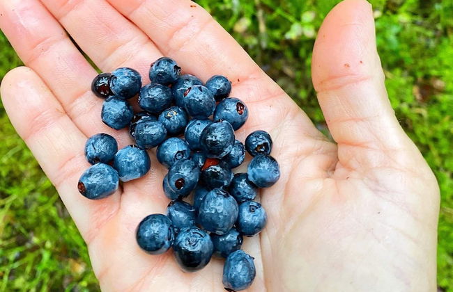 6 Person Holiday Home in Hedekas-by Traum - Foto 13